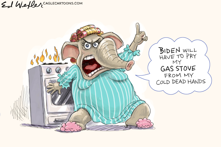 5 scathingly funny cartoons about endangered gas stoves | The Week