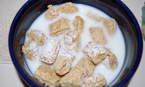Sure they&#039;re packed with whole grain fiber, but those Frosted Mini-Wheats may also be full of metal mesh. Yum!
