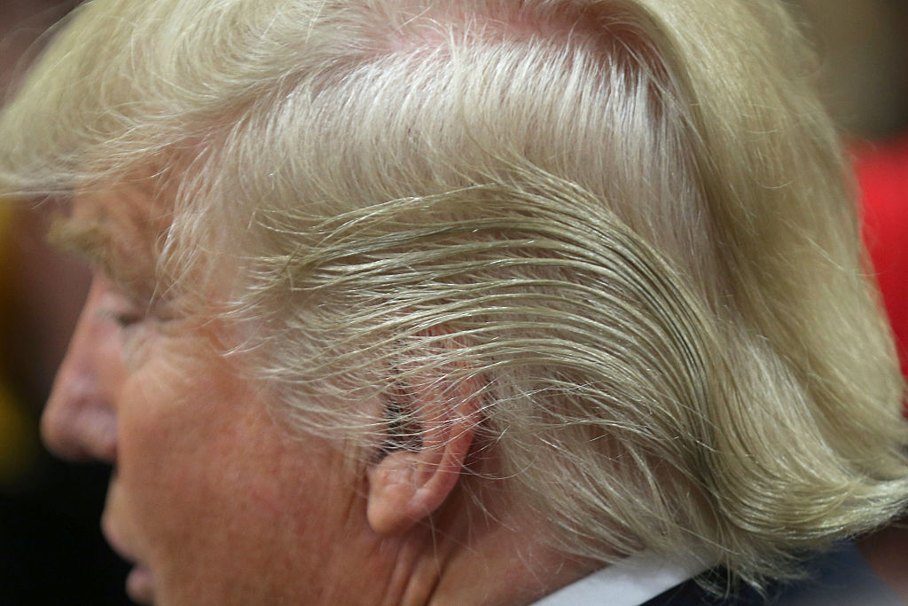 Donald Trump&#039;s hair.