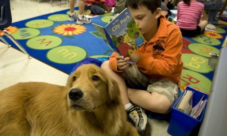 Dogs have helped out in the classroom before with reading programs (shown) and stress relief; now canines are being recruited to help teach compassion and ease bullying.