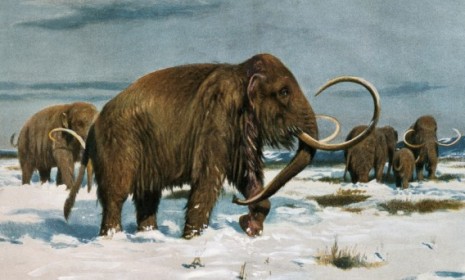 Scientists in Japan want to clone a woolly mammoth using the same technique that cloned a mouse that was in deep freeze for 16 years.