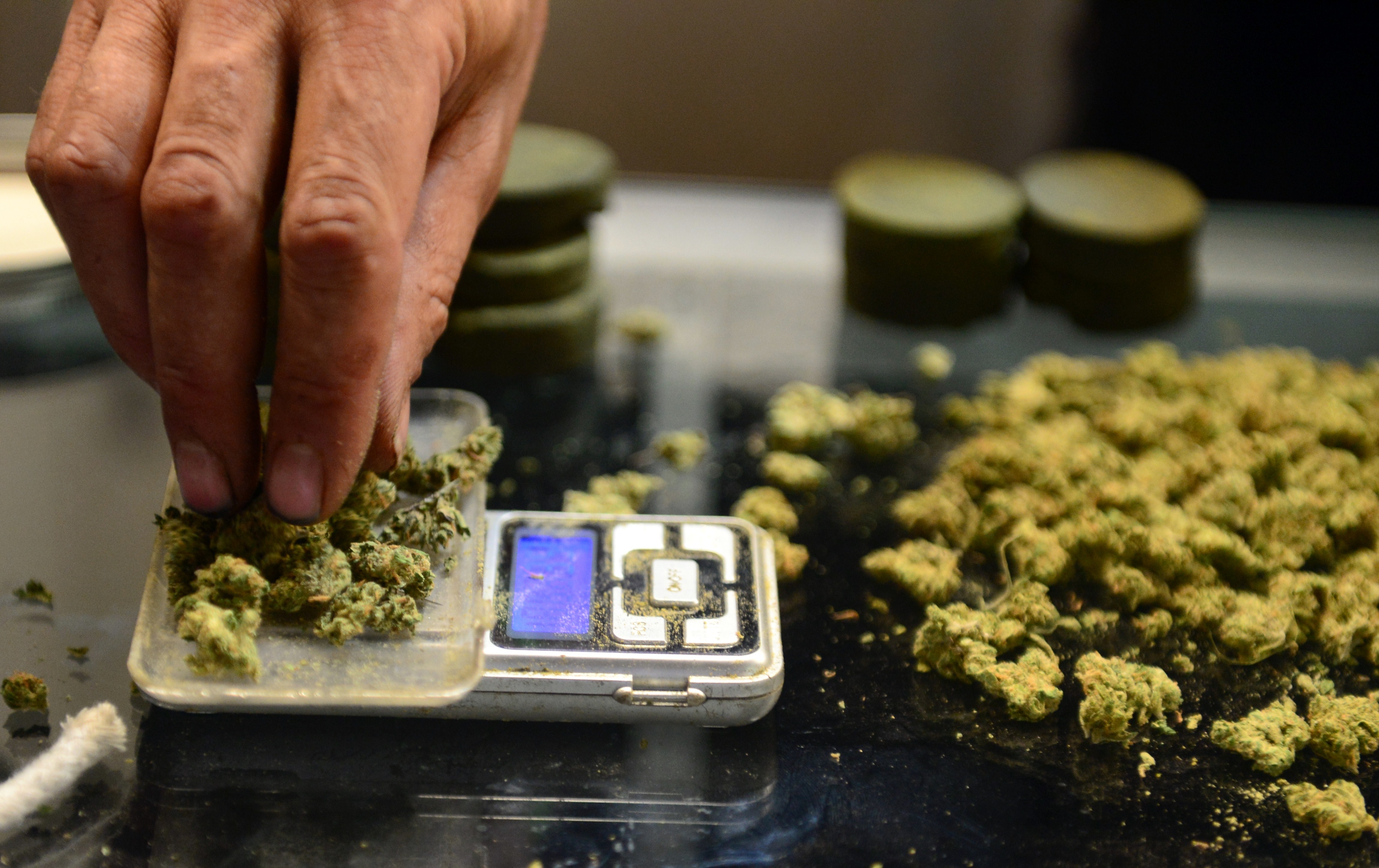 A vendor weighs marijuana buds