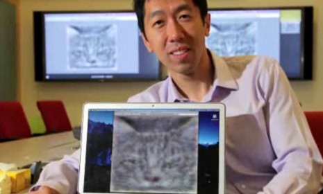 Stamford computer scientist and lead Google researcher Andrew Y. Ng, poses with a computer, the memory of which generated an image of a cat all by itself.