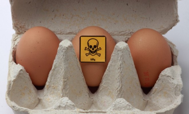 No, this doesn&#039;t mean you should go out and eat rotten eggs.