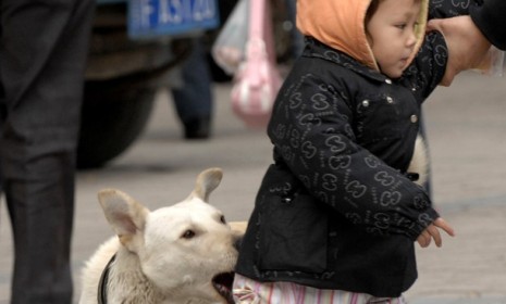 Dog bites girl in China