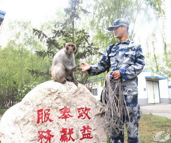 China has a small contingent of trained monkeys protecting its air force base