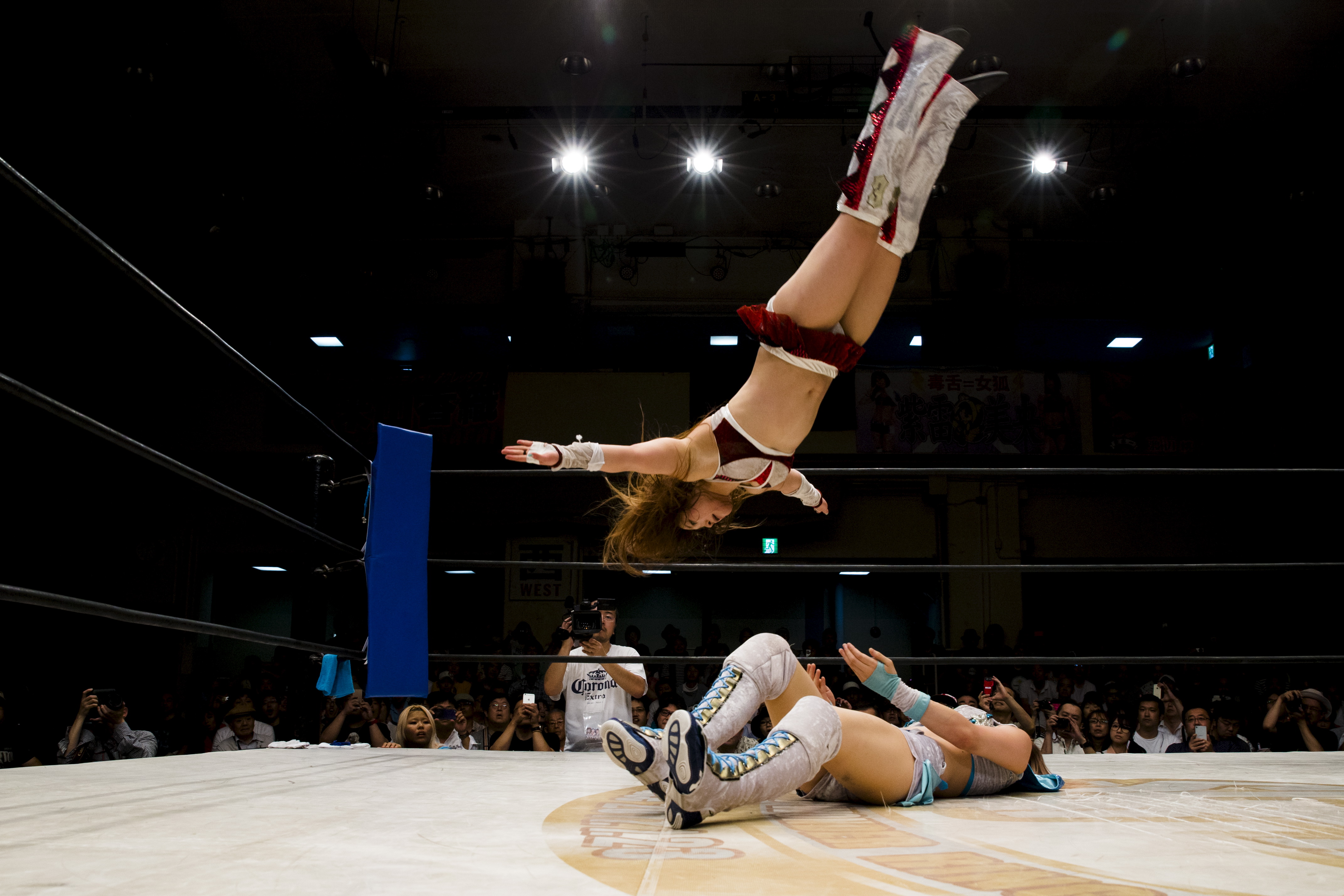 japan wrestlers