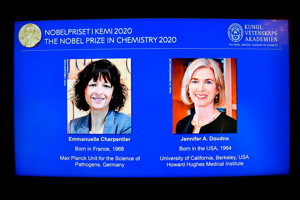 2020 Nobel Chemistry laureates