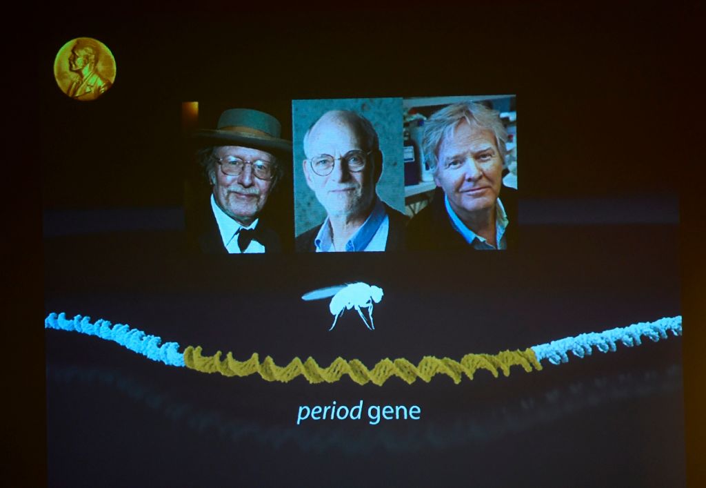 3 Americans win Nobel Prize in Medicine