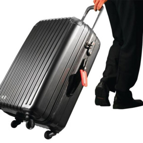 The bug-murdering suitcase