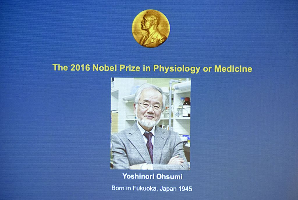 Yoshinori Ohsumi wins 2016 Nobel Prize for medicine