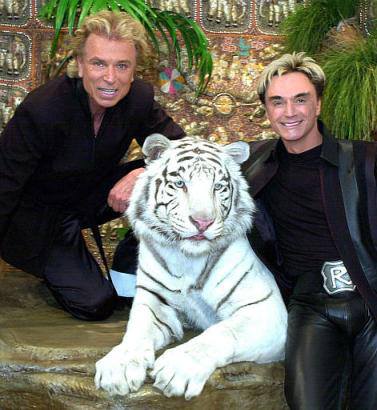 The white tiger that famously bit Siegfried &amp;amp; Roy&#039;s Roy Horn is dead