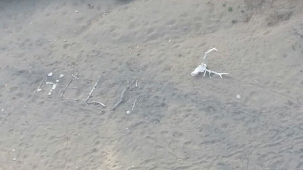 Ann Rodgers spelled out &quot;HELP&quot; with sticks and rocks.