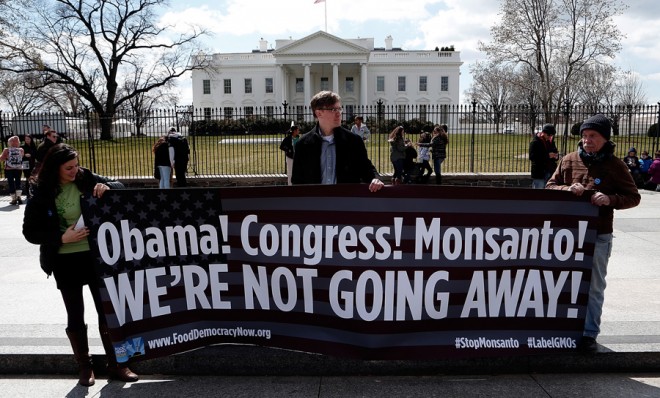 Activists protest against agricultural biotech company Monsanto in D.C. on March 27.
