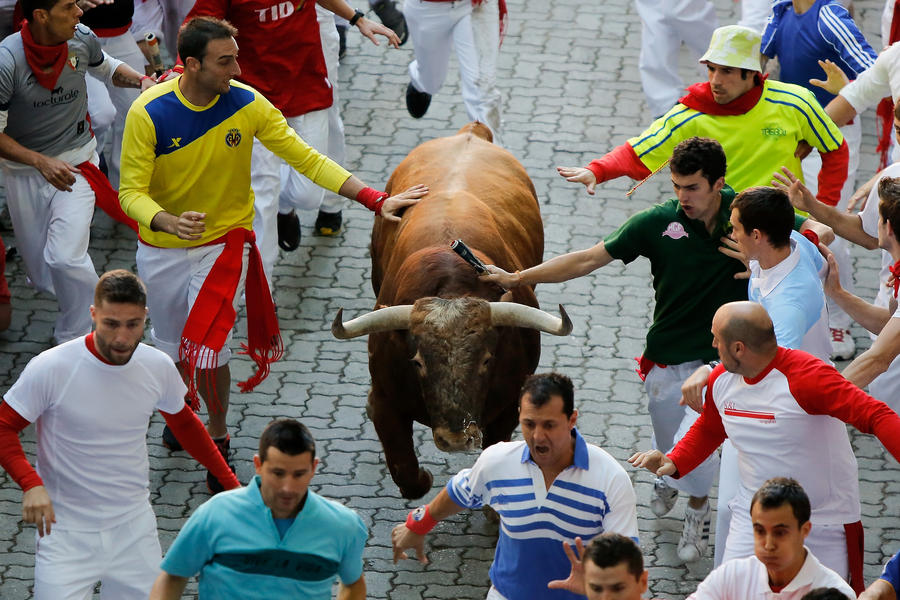 Author of How to Survive the Running of the Bulls gored by bull