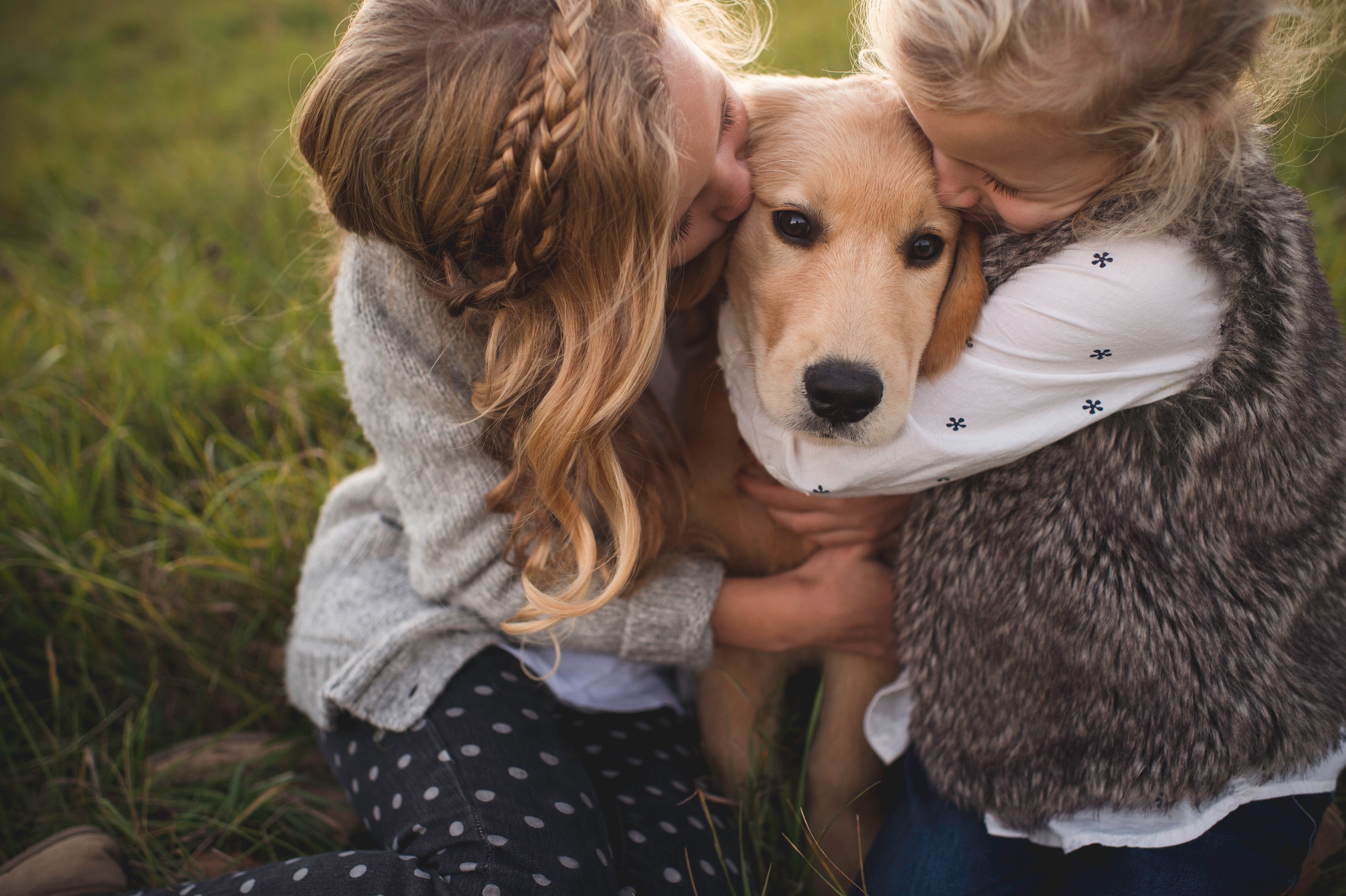 Practicing parenthood with a pet dog can help prepare for human children.