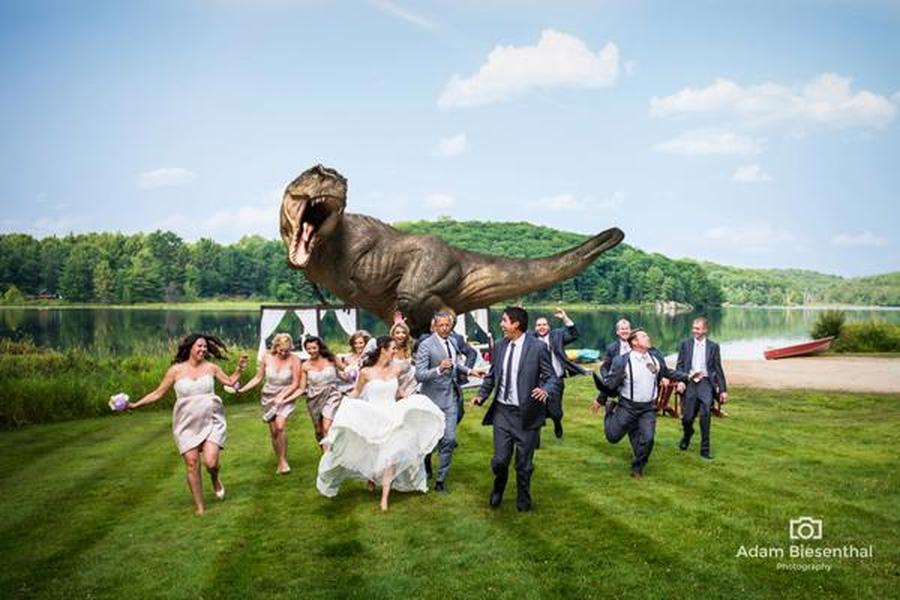 Jeff Goldblum makes groom&#039;s wish come true with Jurassic Park wedding photo
