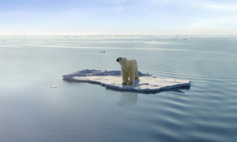 Apparently unmoved by images of lone polar bears adrift on melting ice, 51 percent of Generation Xers admitted to not following climate change closely at all.