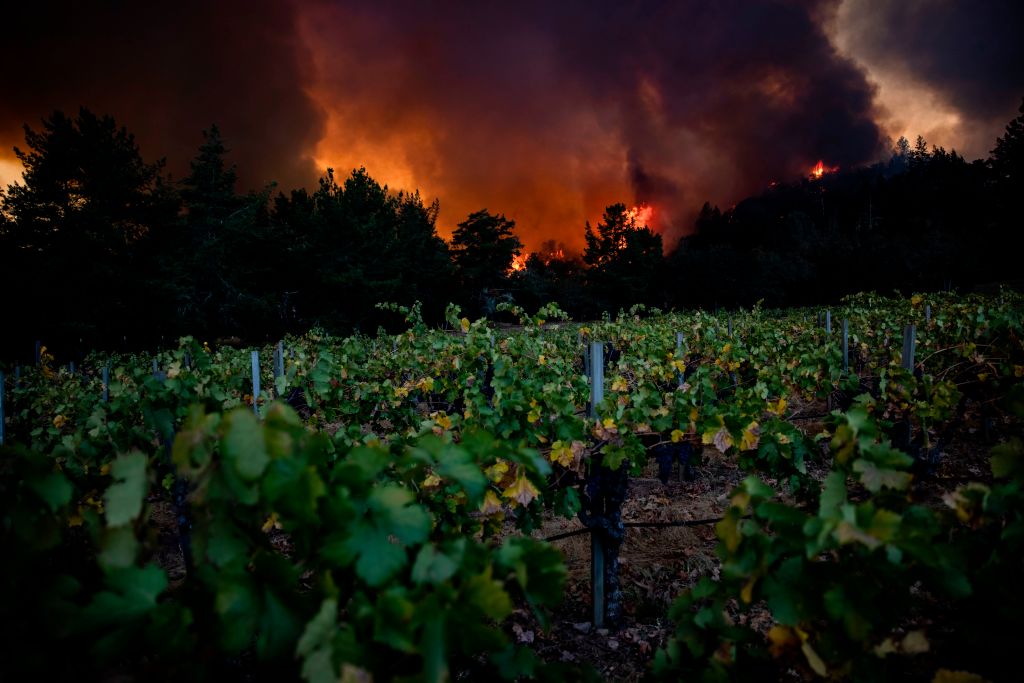 The Glass fire burns behind a vineyard.