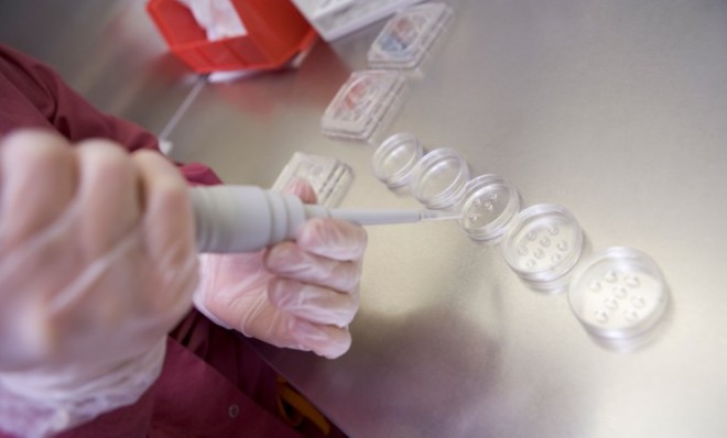 An embryologist prepares cultures in a lab.