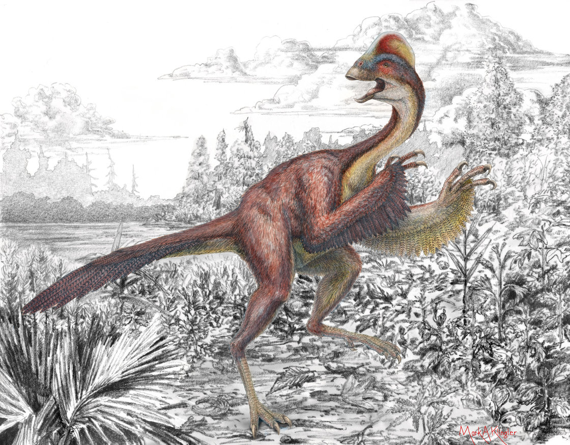 Scientists unearth &#039;chicken from hell&#039; dinosaur