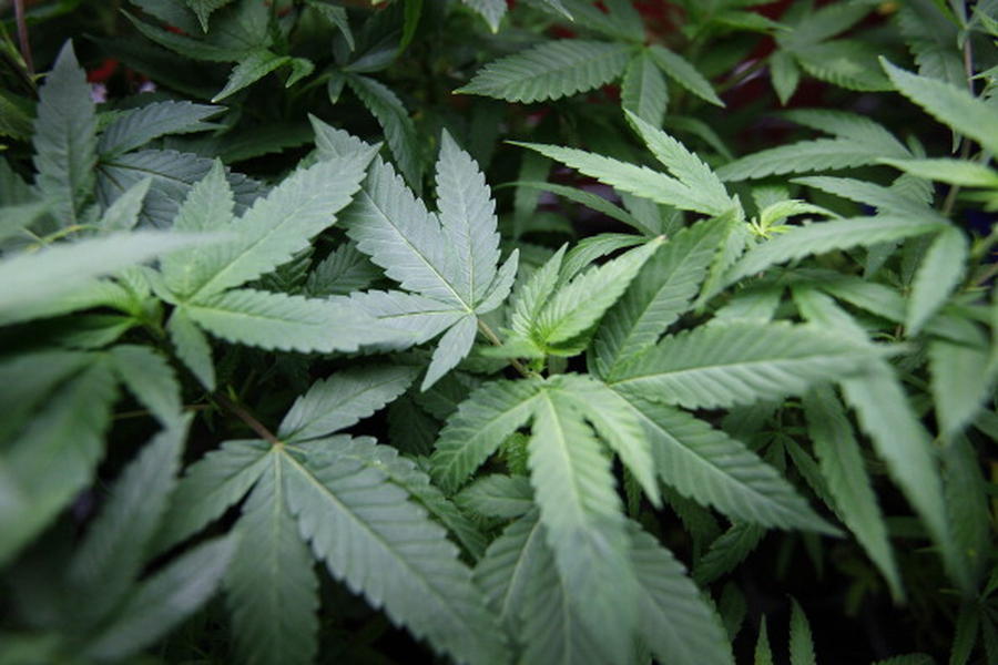 Oklahoma, Nebraska sue Colorado over marijuana