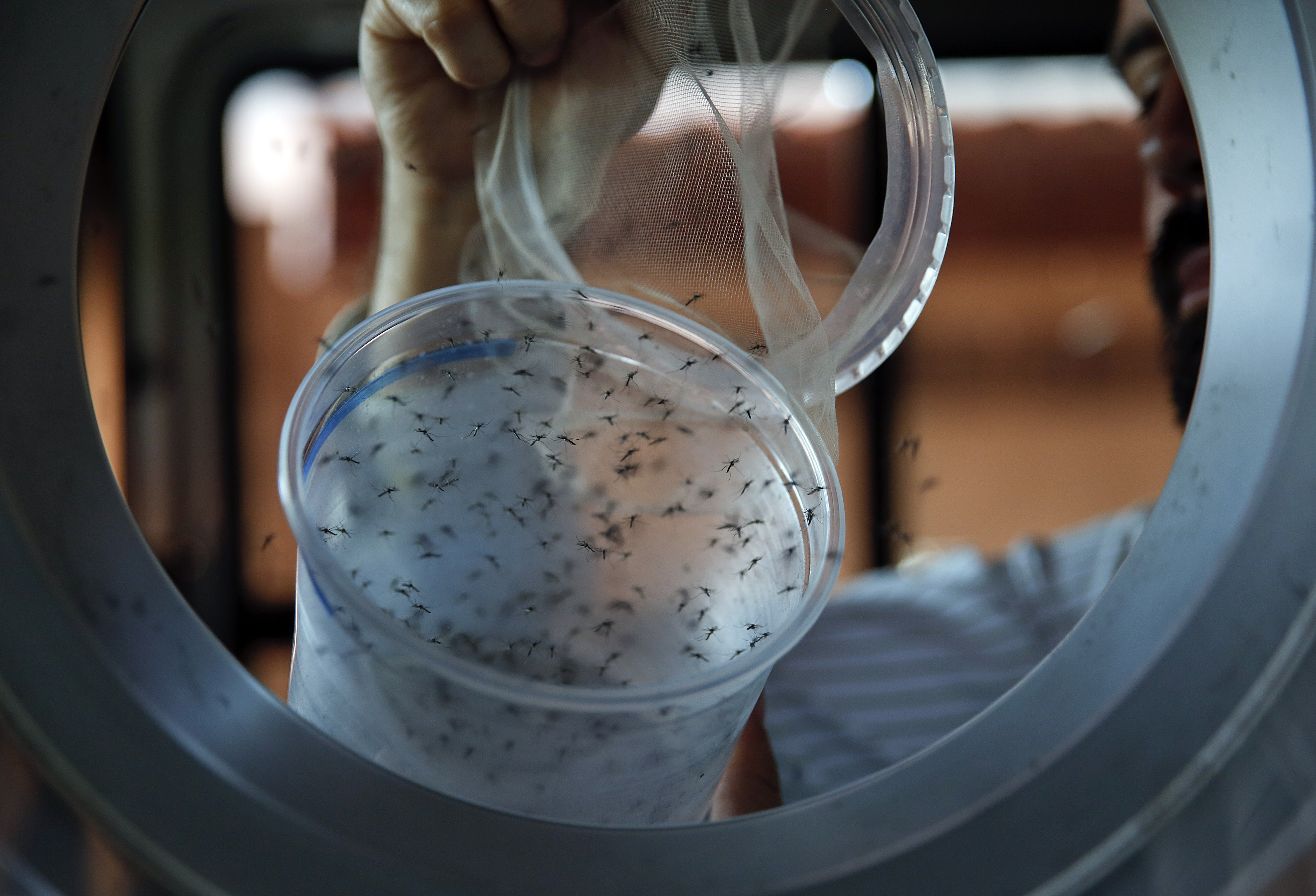 Researchers are ramping up their efforts to keep Zika under control.