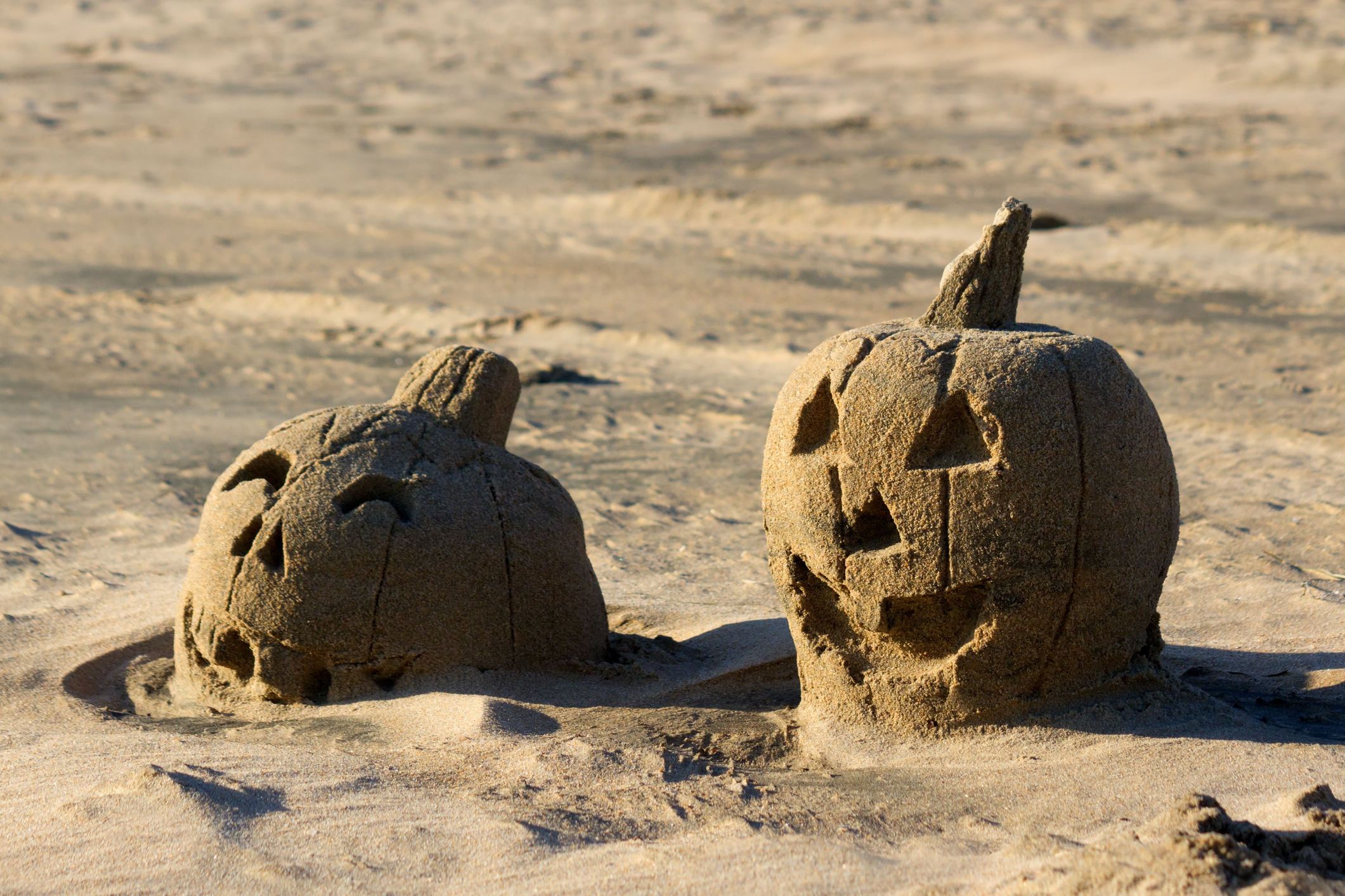 Sand pumpkins can stay.