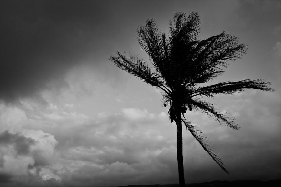 Hawaii braces for Tropical Storm Ana&#039;s winds and rain