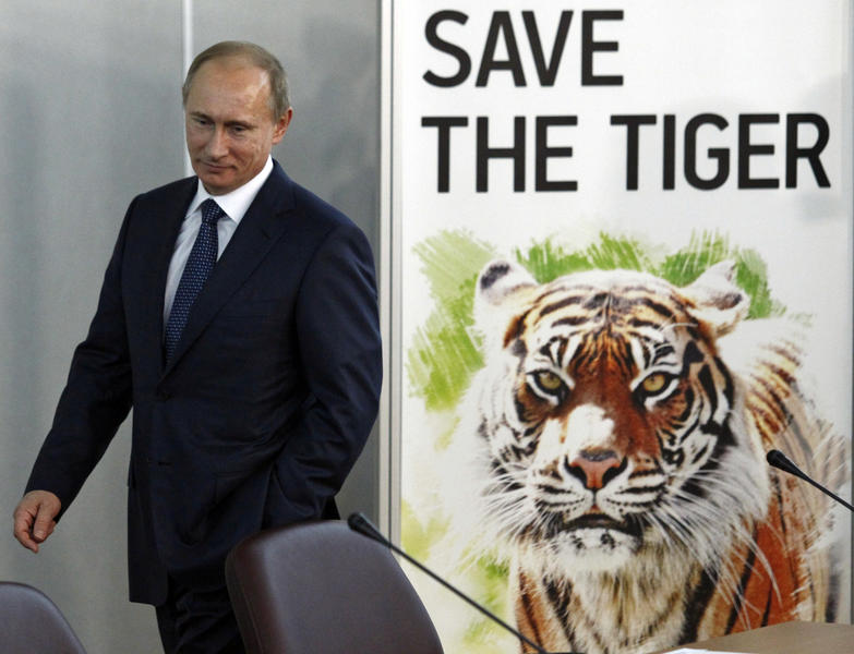 Officials in China frantically trying to track down Vladimir Putin&#039;s tiger