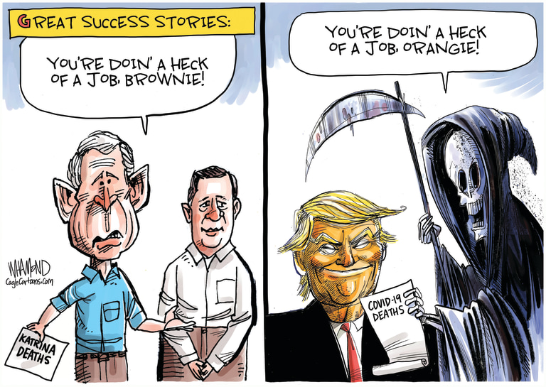Political Cartoon . Trump coronavirus deaths George W Bush Katrina  Brownie
