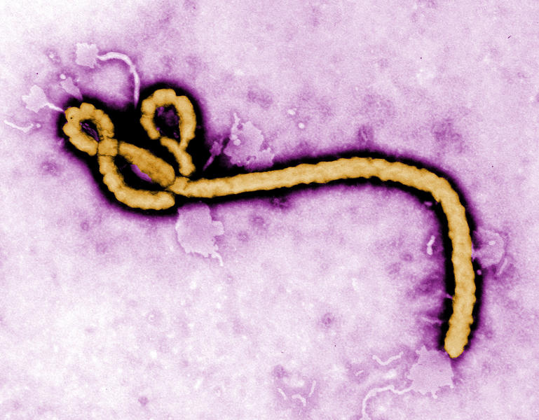 U.S. doctor with Ebola is going to Nebraska