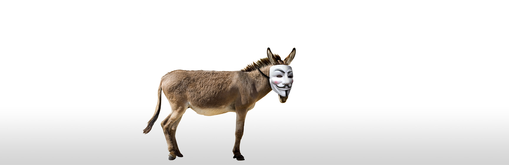 A donkey wearing a mask.