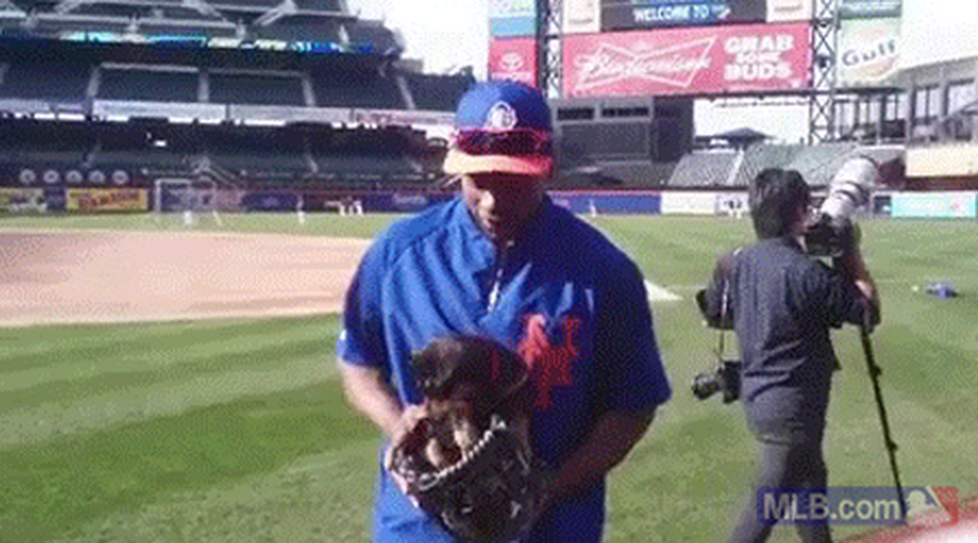Watch a tiny puppy squirm in Curtis Granderson&#039;s baseball mitt