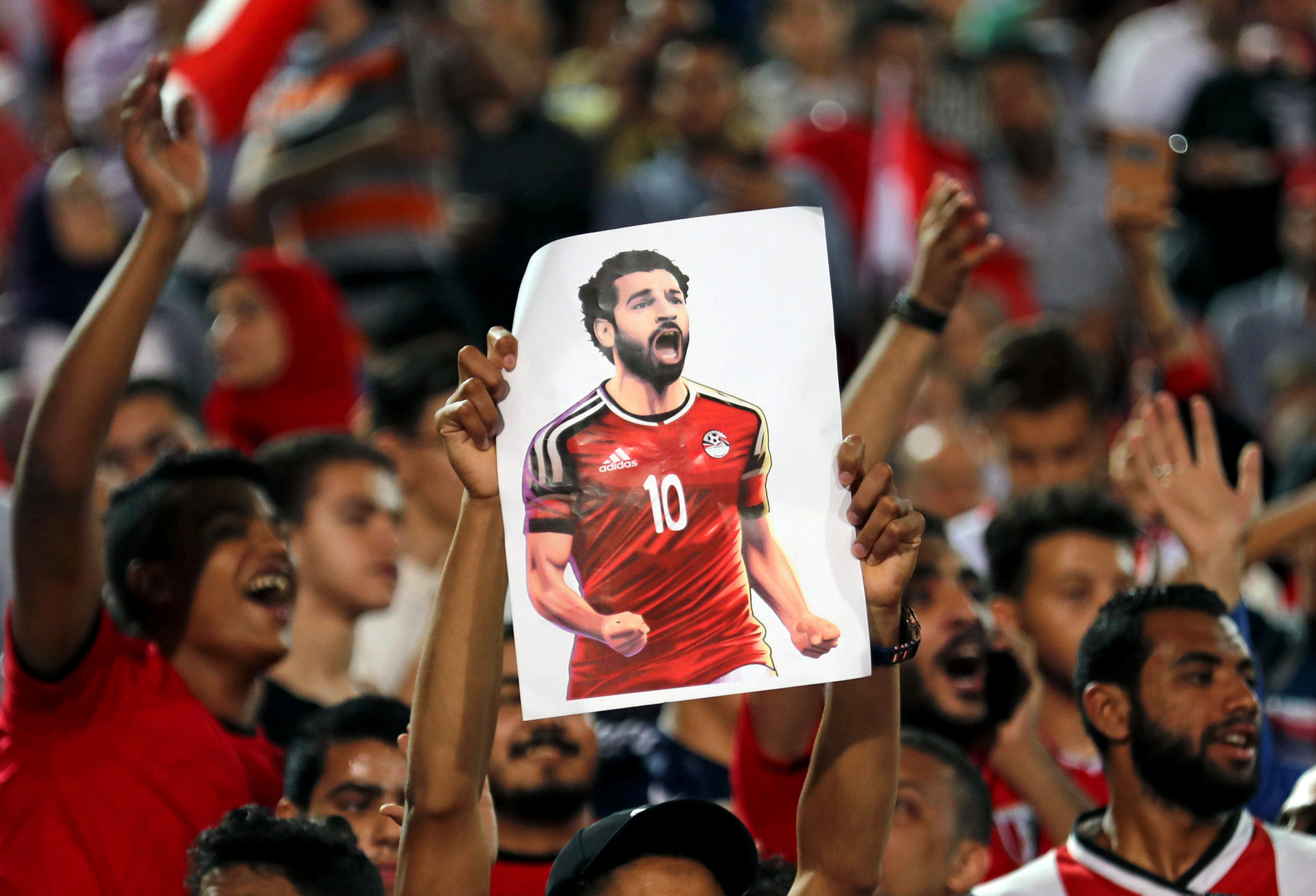 Egyptian soccer fans.
