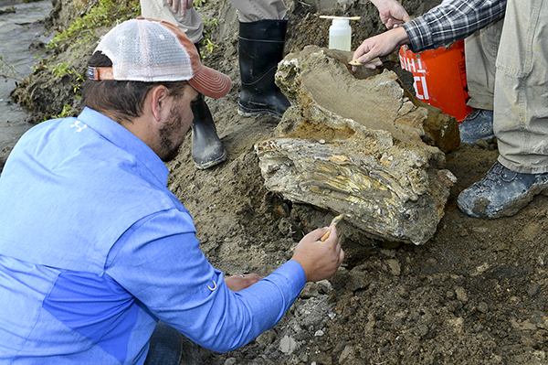 Students unearth mammoth skull and tusks in Idaho