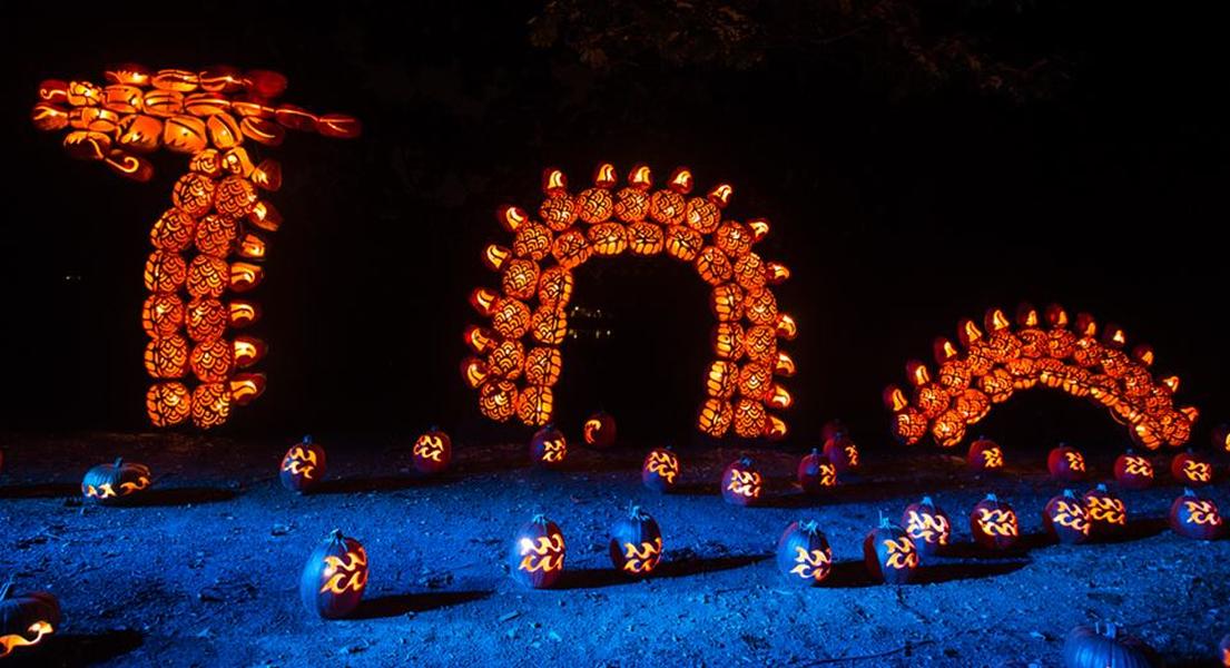 More than 5,000 jack o&#039;lanterns light up this pumpkin extravaganza