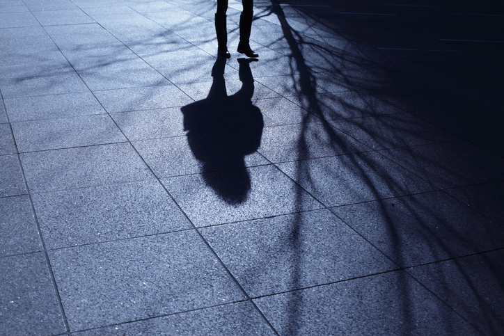 A human shadow.