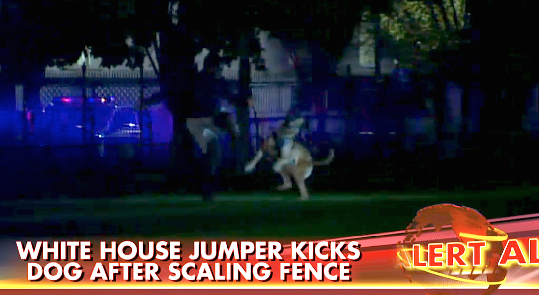 We have another White House fence jumper