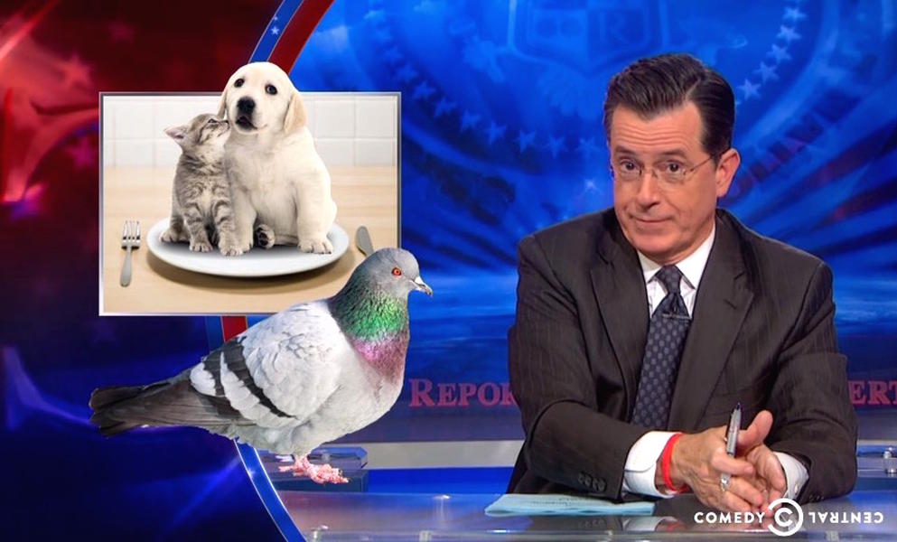 Stephen Colbert credibly blames the NRA for legal dog and cat eating in Pennsylvania