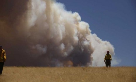 An officer walks through a field as smoke billows over Arizona&#039;s White Mountains: An eastern Arizona wildfire has been blazing out of control for nearly two weeks.
