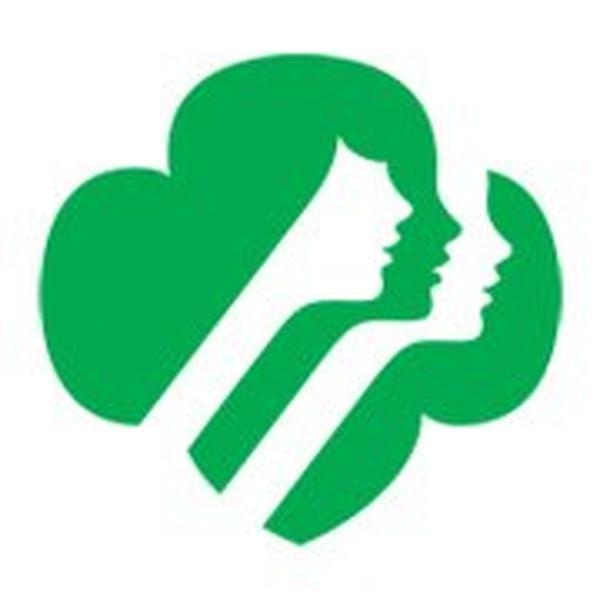 Bad cookie who embezzled almost $370,000 from Girl Scouts sentenced to prison