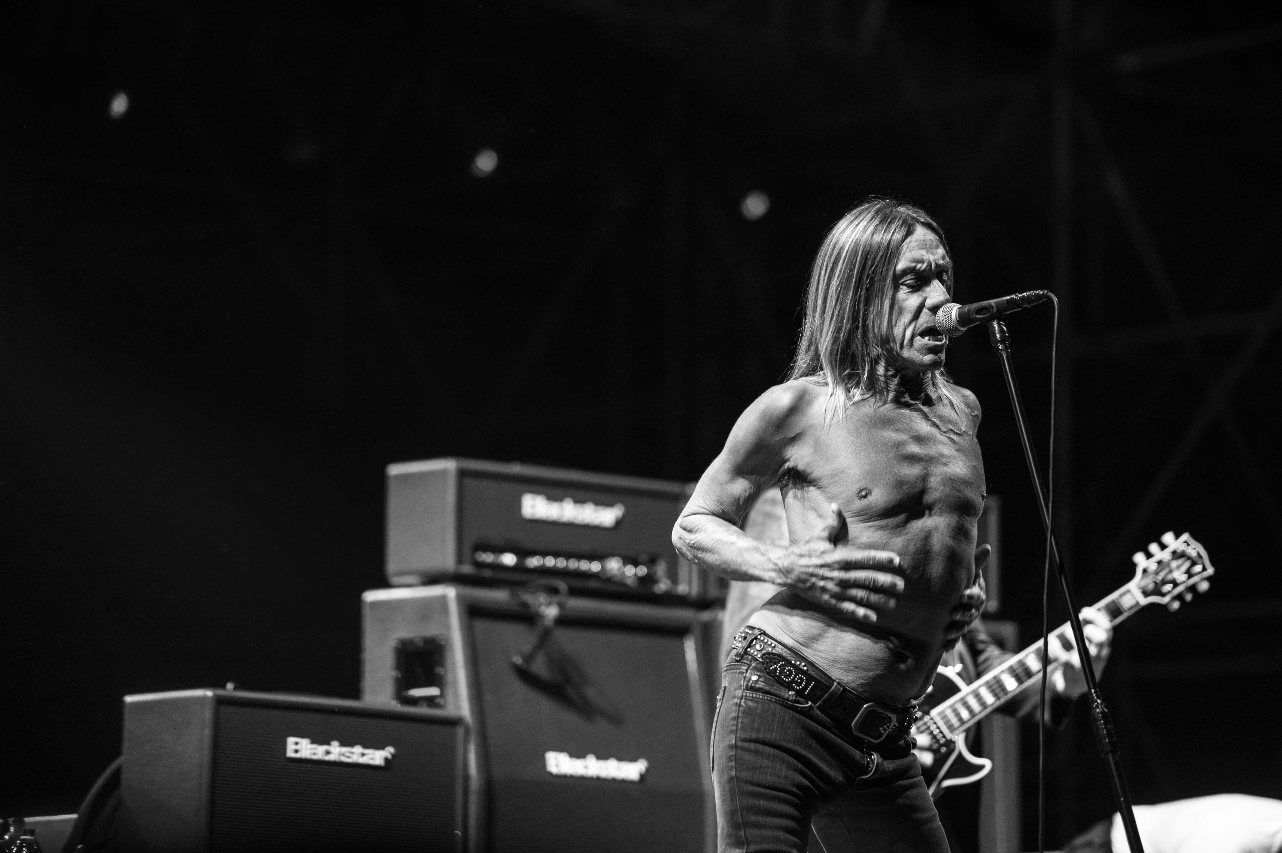Iggy Pop performs in 2008.