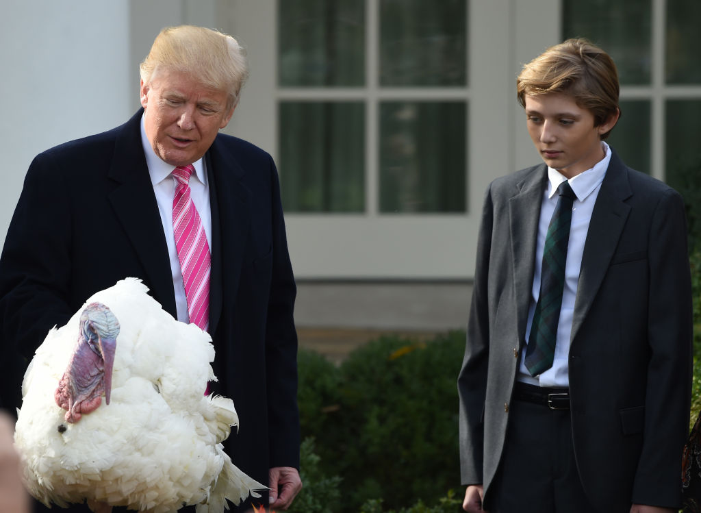Donald Trump pardons a turkey.