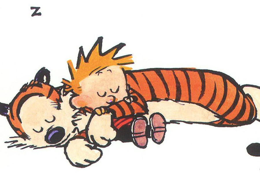 &#039;Calvin and Hobbes&#039; creator emerges from retirement to guest-draw on syndicated strip