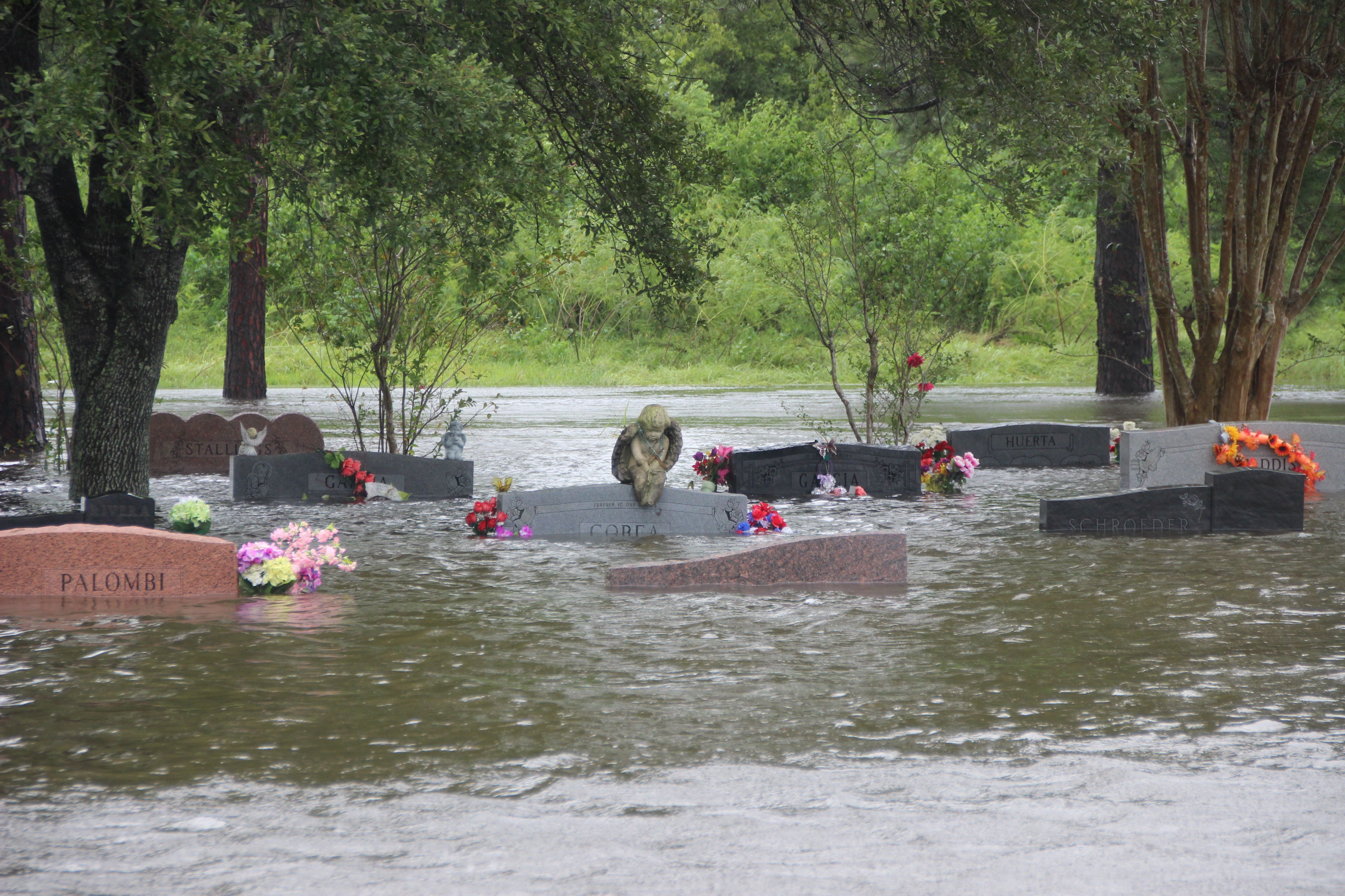A cemetery is flooded in Houston