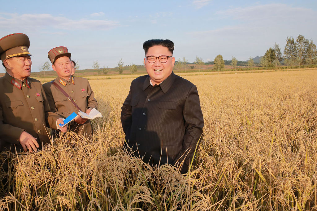 North Korean leader Kim Jong Un in a field