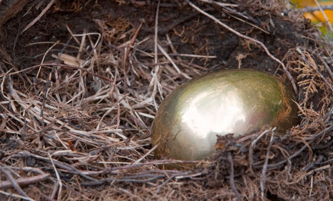 Nest egg