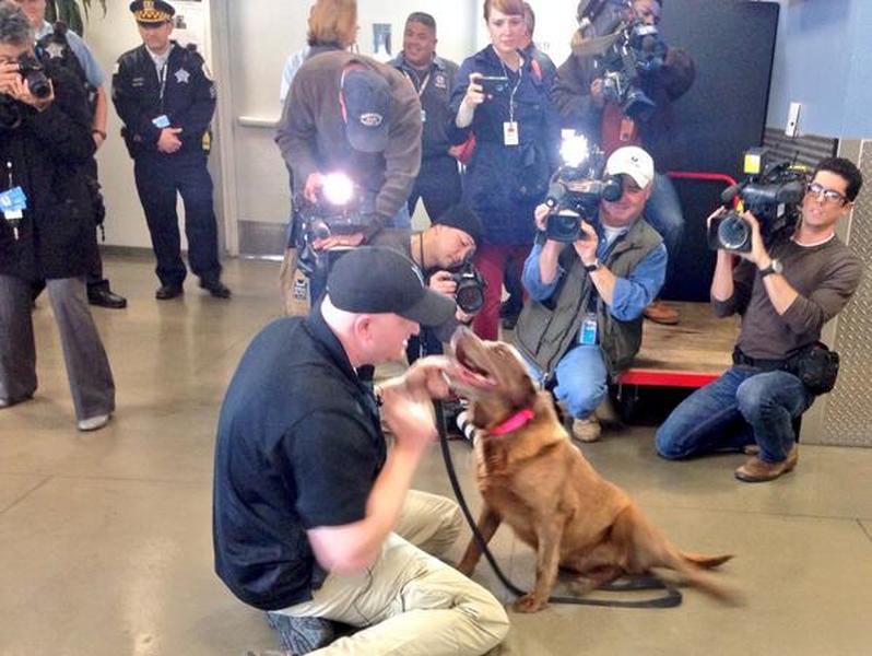 After 2 years apart, Iraq War vet and his military dog reunite