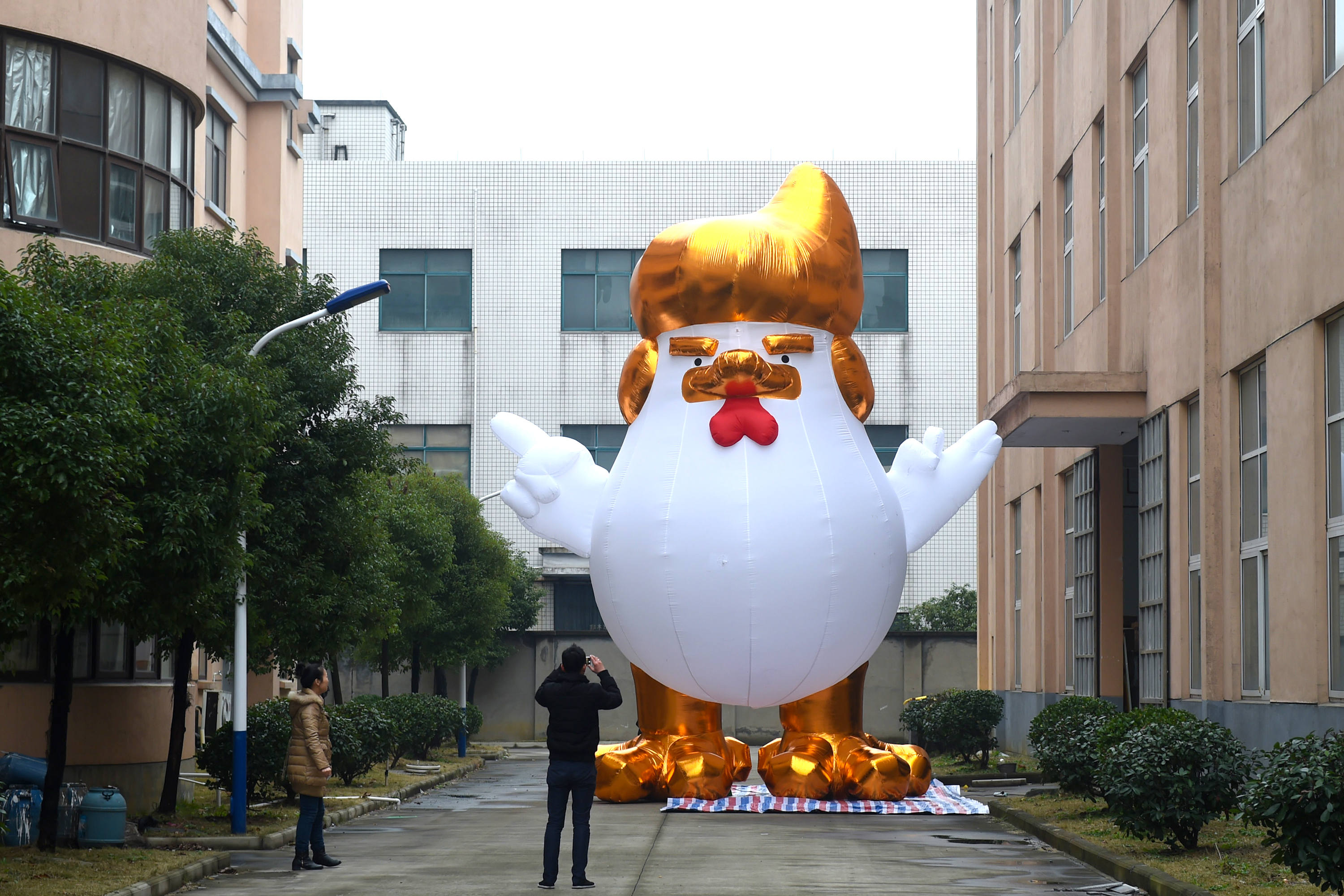 A company in China makes giant chicken inflatables that resemble Donald Trump.